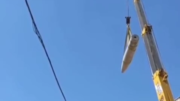  - Sputnik Србија