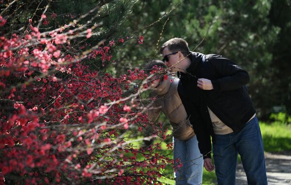 Посетиоци уживају у мирисима који се шире парком. - Sputnik Србија