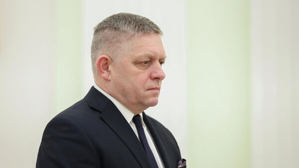 Slovački premijer Robert Fico  - Sputnik Srbija