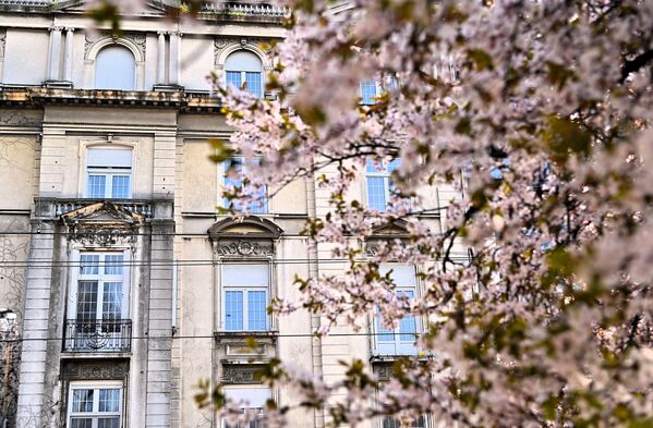 Пролеће куца на наше прозоре. Отворите их! - Sputnik Србија