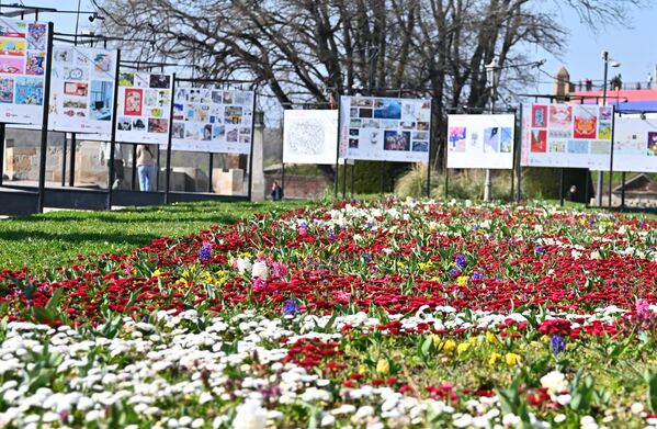 Изложба на отвореном и брижљиво неговане цветне леје у Калемегданском парку - Sputnik Србија