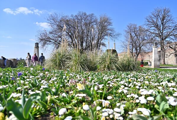 Иако календарски, пролеће још увек није почело, лепо време и пријатне пролећне температуре пријатно су изненадили Београђане и измамили их напоље - Sputnik Србија