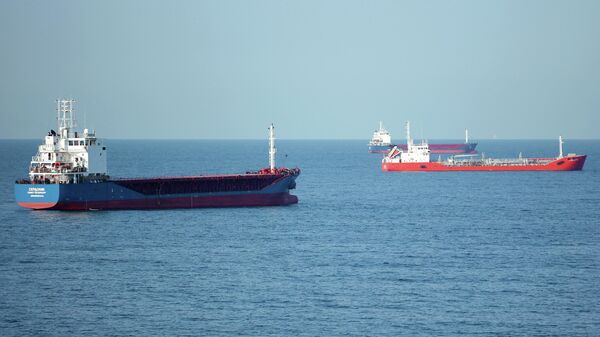 Теретни бродови у луци у Новоросијску - Sputnik Србија