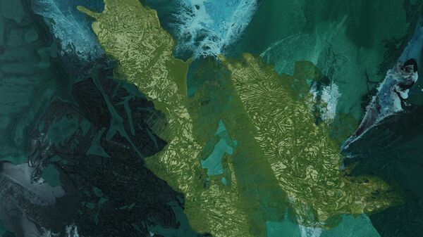 Слика из циклуса Ток Наталије Миладиновић - Sputnik Србија