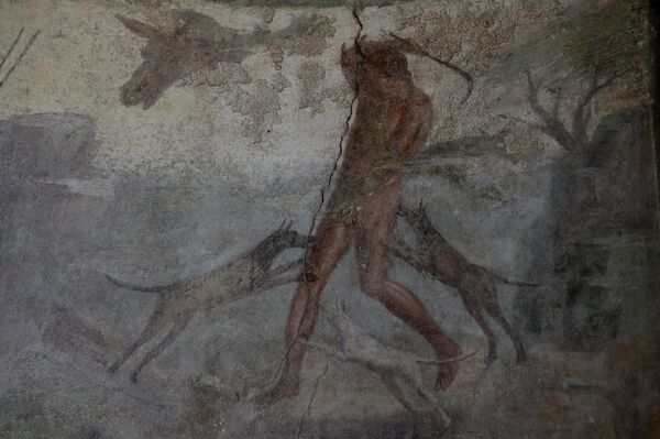 Фреска у једној од кућа града-музеја на отвореном, Помпеје. - Sputnik Србија