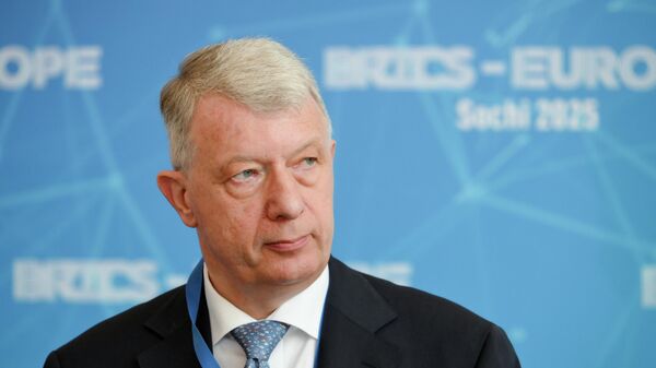 Посланик Европског парламента Фернан Картајзер  - Sputnik Србија