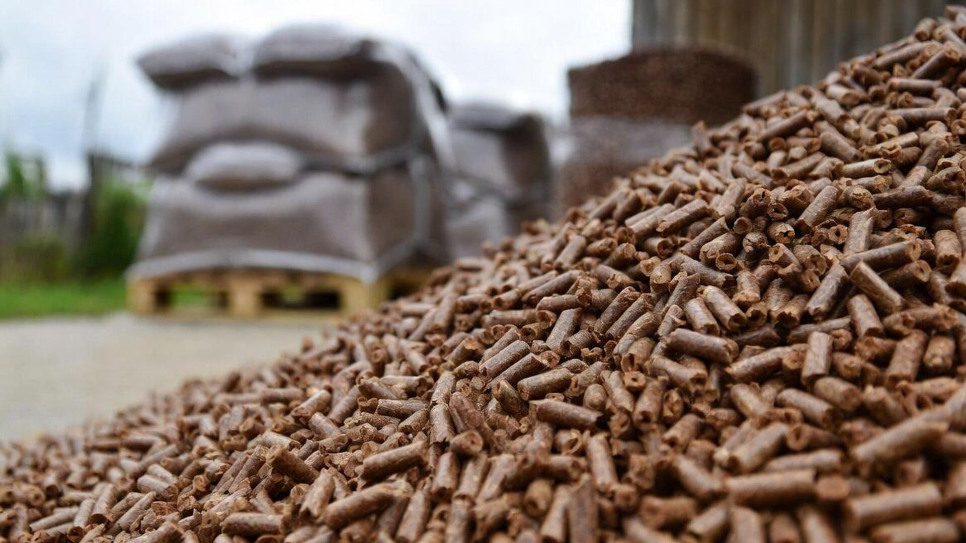 pelet - Sputnik Srbija, 1920, 04.04.2026