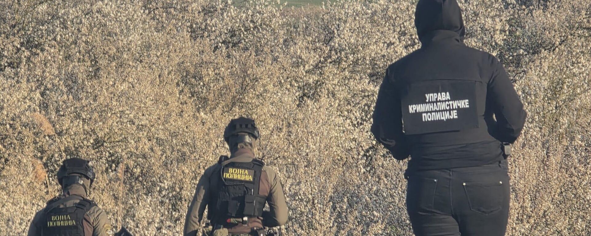 војјска и полиција на територији општине Кањижа - Sputnik Србија, 1920, 05.04.2026