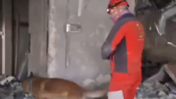 Spasilac sa psom tragačem u Iranu. - Sputnik Srbija