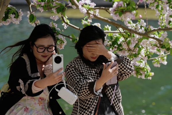 Девојке се фотографишу са цветовима трешње дуж обале реке у јавном парку, док олујни удари ветра погађају престоницу током сезоне пролећног цветања, у Пекингу, у недељу, 5. априла 2026. године. - Sputnik Србија