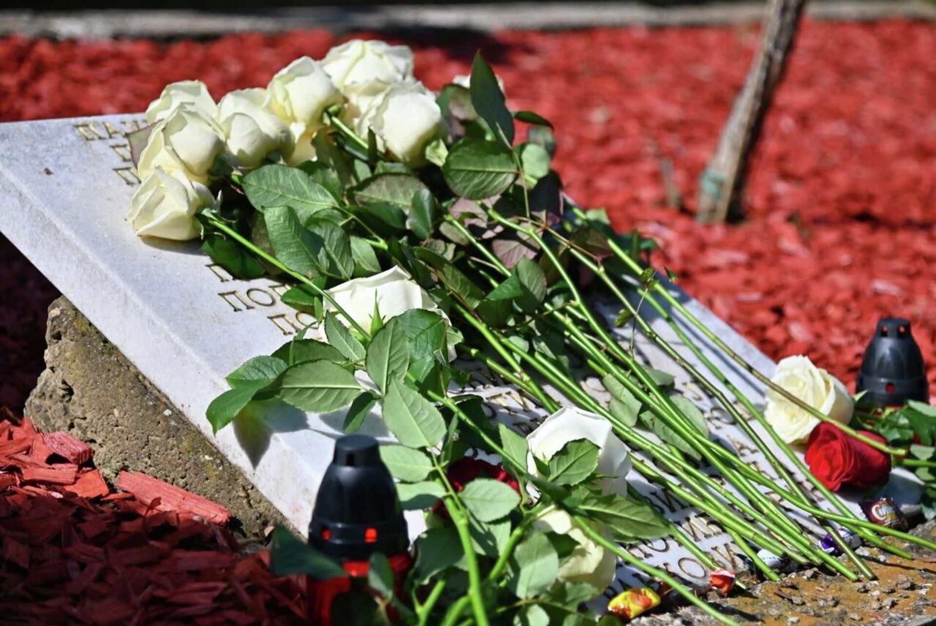 Положени венци у Алеји страдалих у шестоаприлском бомбардовању - Sputnik Србија, 1920, 06.04.2026