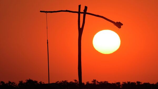 Залазак сунца у мађарској степи Хортобађи, 220 км источно од Будимпеште - Sputnik Србија