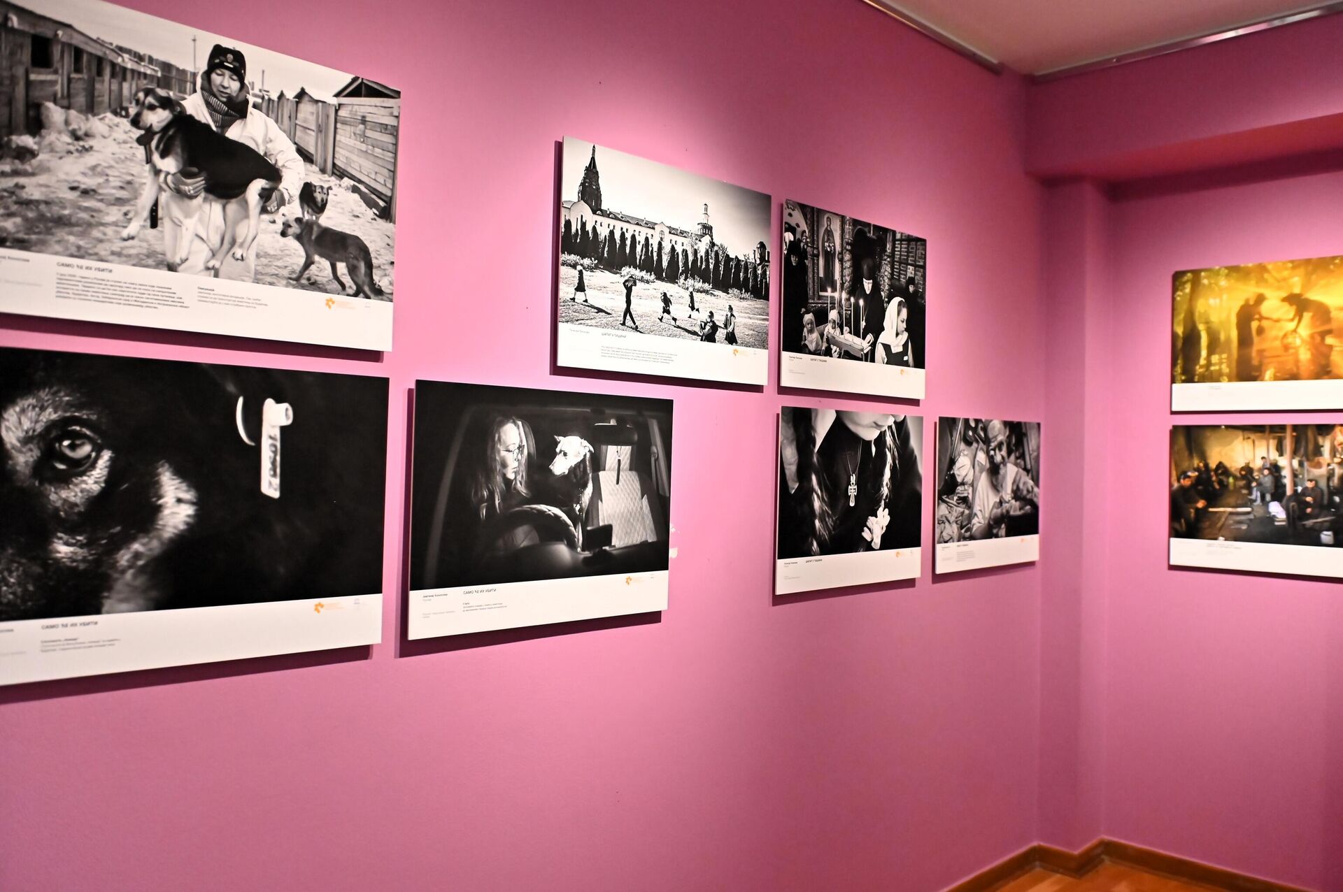 Izložba „Međunarodni konkurs za fotoreportere Andrej Stenjin“ Izložba „Međunarodni konkurs za fotoreportere Andrej Stenjin“ - Sputnik Srbija, 1920, 07.04.2026