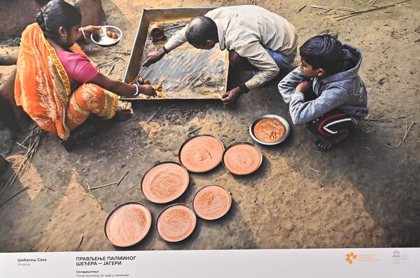 Фото-конкурс је обухватио у шест категорија: „Главне вести“, „Спорт“, „Моја планета“, „Портрет. Херој нашег времена“ и „Поглед одозго“, заједно са новом категоријом „Енергија живота“. - Sputnik Србија