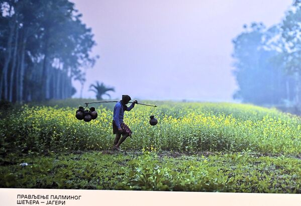 Током 2025. године, конкурс је прикупио око 2.000 радова из 40 земаља света. - Sputnik Србија