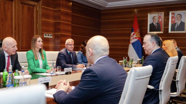 Дубравка Ђедовић Хандановић - Sputnik Србија