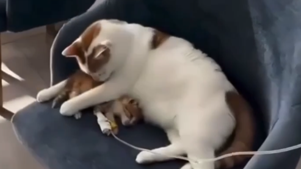  - Sputnik Србија