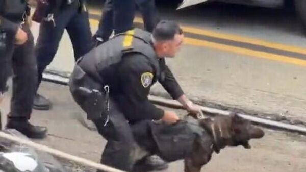  - Sputnik Србија