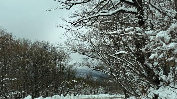 Čak i tokom retkih sunčanih dana, jaki vetrovi su značajno ublažili osećaj topline. - Sputnik Srbija