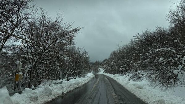 Usled snežnih nanosa bilo je praktično nemoguće zaustaviti automobil pored puta. - Sputnik Srbija