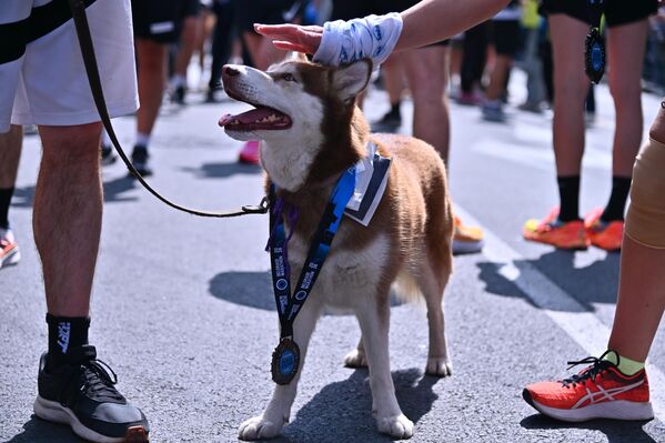 Вишегодишњи учесник Београдског маратона - Sputnik Србија