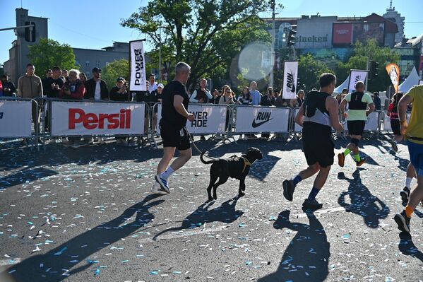 У маратону је узео учешће и овај четвороножни такмичар заједно са својим власником - Sputnik Србија