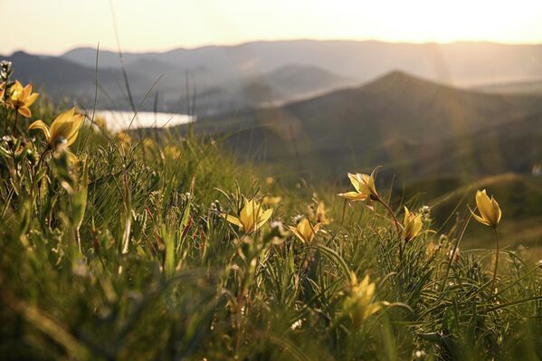 Prolećno jutro na planini na Krimu. - Sputnik Srbija