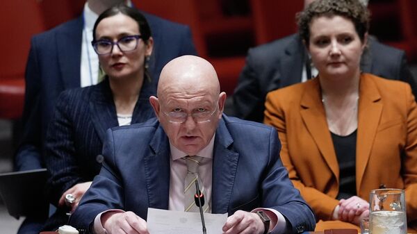 Стални представник Русије у УН Василиј Небензја - Sputnik Србија