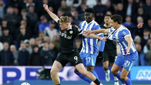 Челси Брајтон - Sputnik Србија