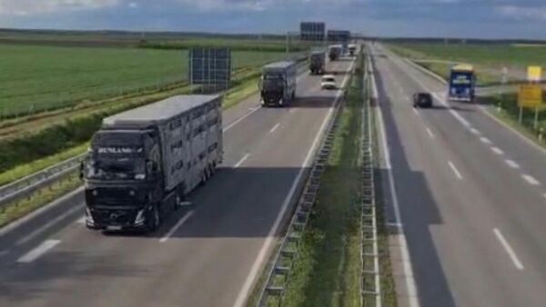 Србија извезла 8.000 јагњади у Либију - Sputnik Србија