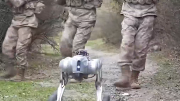  - Sputnik Србија