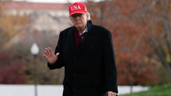 Prezident SŠA Donalьd Tramp - Sputnik Srbija