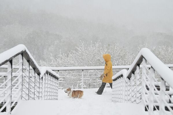 Ситуацију додатно отежава јак ветар, са ударима до 23 метра у секунди. - Sputnik Србија