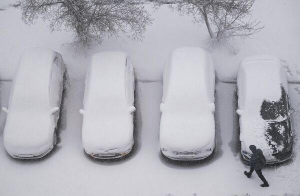 На десетине аутомобила оштећено је услед пада дрвећа, док су оборена стабла блокирала коловозе и трамвајске шине, показују снимци објављени на друштвеним мрежама. - Sputnik Србија