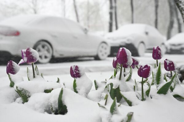 Од четвртка падавине би требало да пређу у кишу, уз пораст температуре на од +6 до +8 степени. - Sputnik Србија