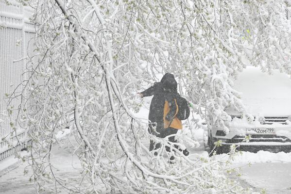 У Москви и Московској области у наредна 24 сата могло би да падне до седам центиметара снега. - Sputnik Србија