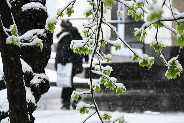 Претходна рекордна година била је 1880. када је пало 14,7 милиметара за 24 сата. - Sputnik Србија