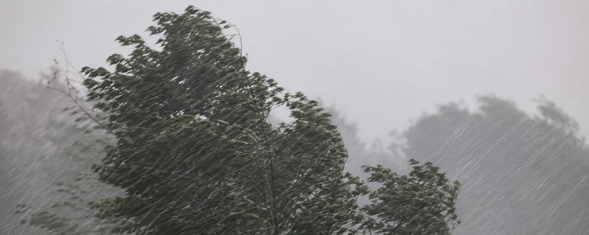 Невреме - Sputnik Србија, 1920, 12.05.2026