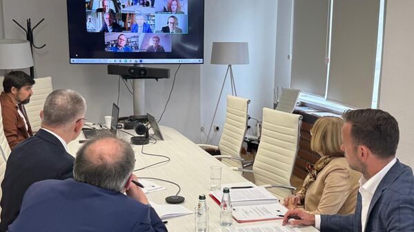 Министар правде Ненад Вујић са сарадницима одржао онлајн састанак са експератима Венецијанске комисије. - Sputnik Србија