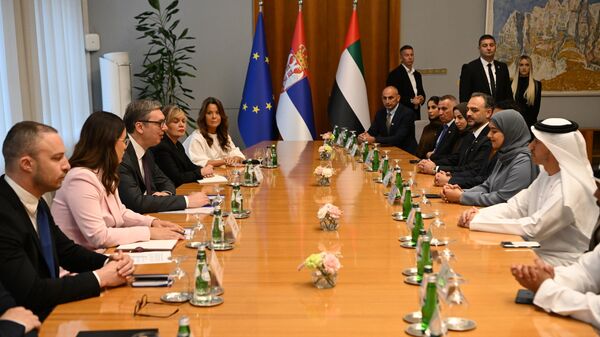 Aleksandar Vučić sa delegacijom UAE - Sputnik Srbija