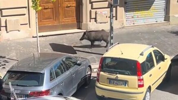  - Sputnik Србија