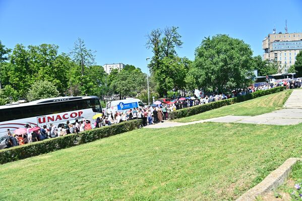 Колоне се протежу дуж Небојшине улице, Ранкеове, Браничевске, Боре Сранковића... - Sputnik Србија