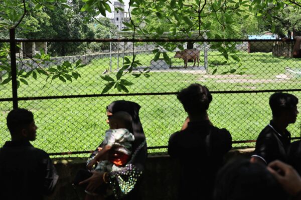Због необично светле боје, која је последица генетског стања познатог као албинизам, животиња је добила надимак по америчком председнику Доналду Трампу. - Sputnik Србија