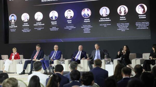 Ministar Nenad Popović na Taškentskom međunarodnom investicionom forumu - Sputnik Srbija