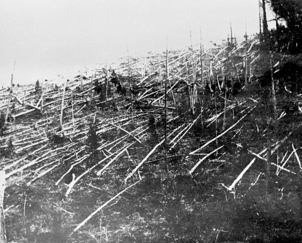 Evenkijski autonomni okrug Krasnojarskog kraja. Područje pada Tunguskog meteorita.Ovako je izgledala tajga 1927. godine, kada su naučnici prvi put stigli do mesta pada. - Sputnik Srbija