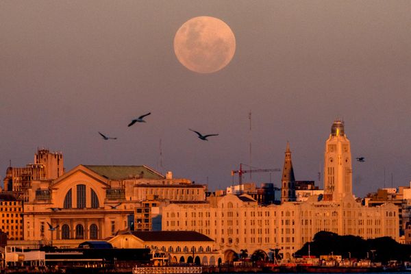 Месец излази изнад Монтевидеа, Уругвај - Sputnik Србија