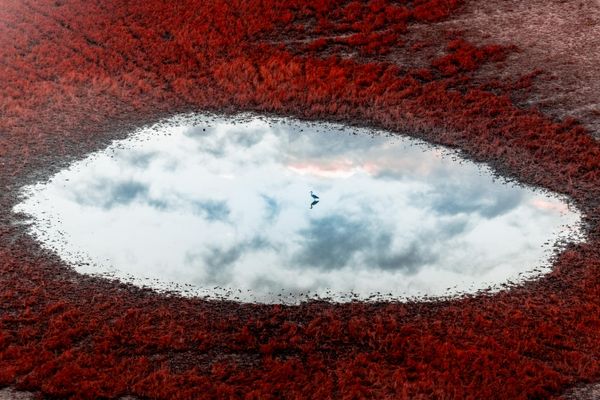 „Птичица на небу“ – међународни победник у категорији фотографије из ваздуха, Виталиј Головатјук (Руска Федерација). - Sputnik Србија