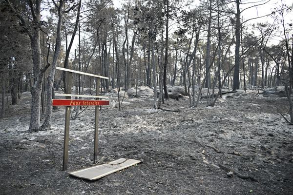 Француски министар унутрашњих послова Лоран Нуњез саопштио је у понедељак да је широм земље ухапшено 59 особа након пријава о шумским пожарима. - Sputnik Србија