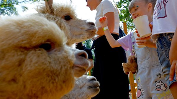 V Donecke otkrыlsя park alьpak - Sputnik Srbija