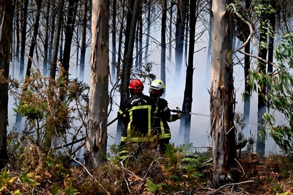 Пожар који је захватио 42.000 хектара у Жиронди и довео до евакуације 220.000 људи, током протекле ноћи је оцењен као „углавном стабилан2, саопштила је јутрос префектура. - Sputnik Србија